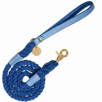 PoisePup Leashes Luxury Leather Dog Leash Ocean Vibes