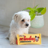 Huxley & Kent dog toys Mr. Goodboy Plush Dog Toy