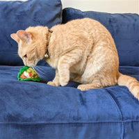 Huxley & Kent Cat Toys Taco Plush Cat Toy