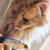 Huxley & Kent Cat Toys Sardine Plush Cat Toy