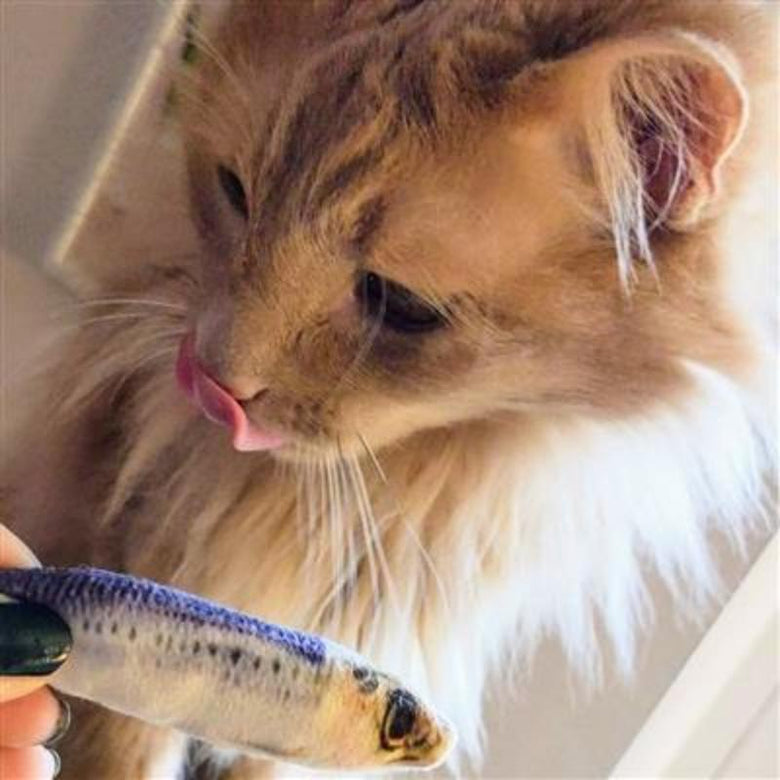 Huxley & Kent Cat Toys Sardine Plush Cat Toy