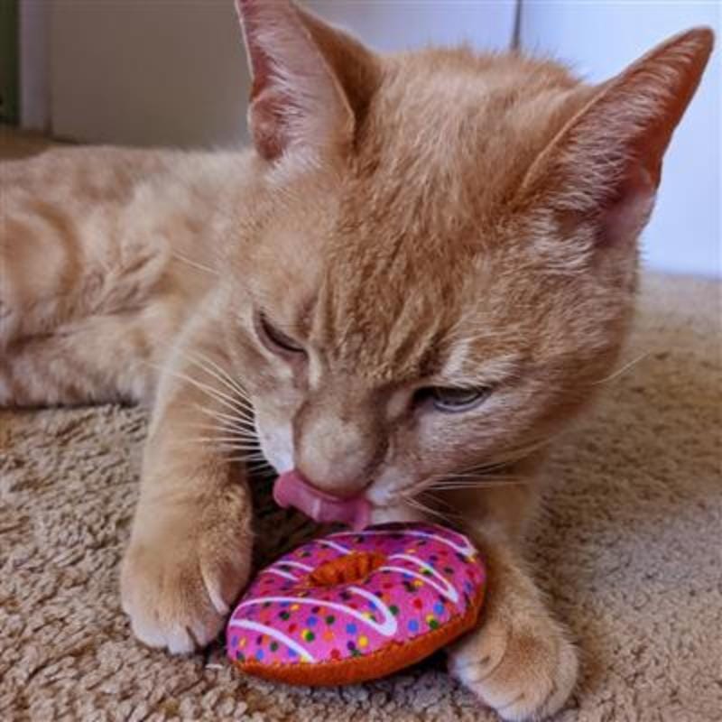 Huxley & Kent Cat Toys Strawberry Donut Plush Cat Toy