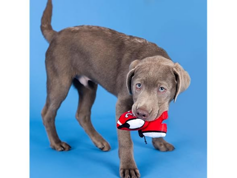 Basket-pawler Sports Fun Basketball Plush Squeaky Dog Toy Set - 3 Pc