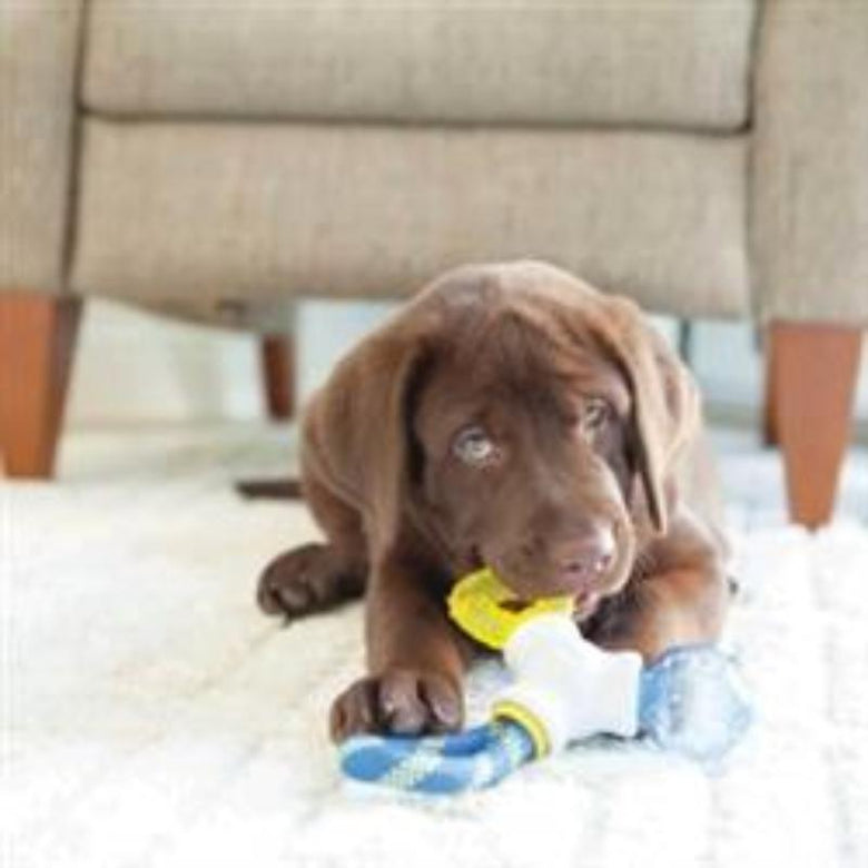 JW dog toys Puppy Connects Chew Dog Toy