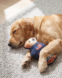 Haute Diggity Dog Haute Diggity Dog - Ruff Lauren Teddy Dog