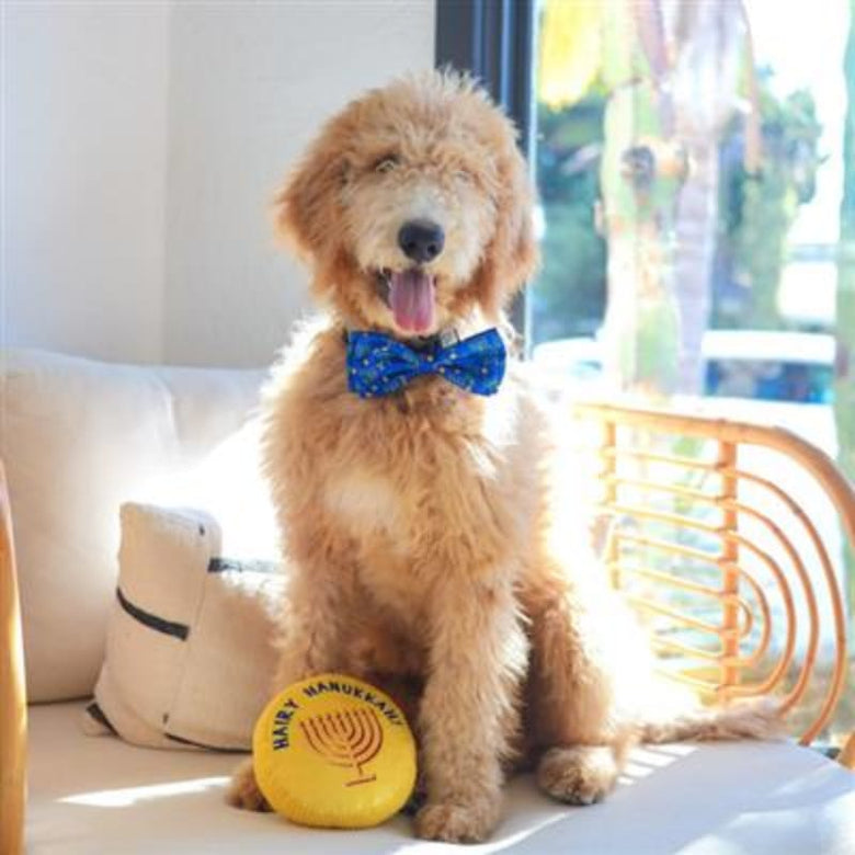 Huxley & Kent Bow Tie LG Hanukkah Menorah & Dots Holiday Pet Bow Tie