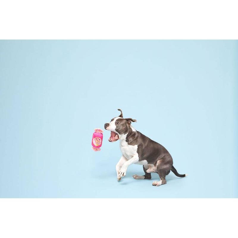 BARK dog toys Bubble Gum Plush Dog Toy