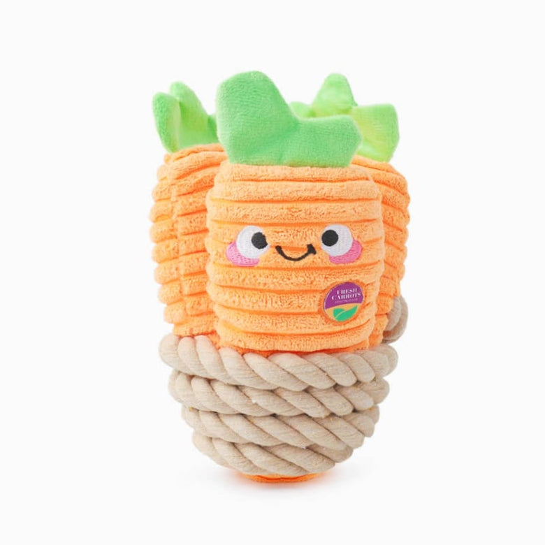 Hugsmart Products Inc dog toys Puppy Garden Bunch of Carrots Rope Spring Plush Dog Toy