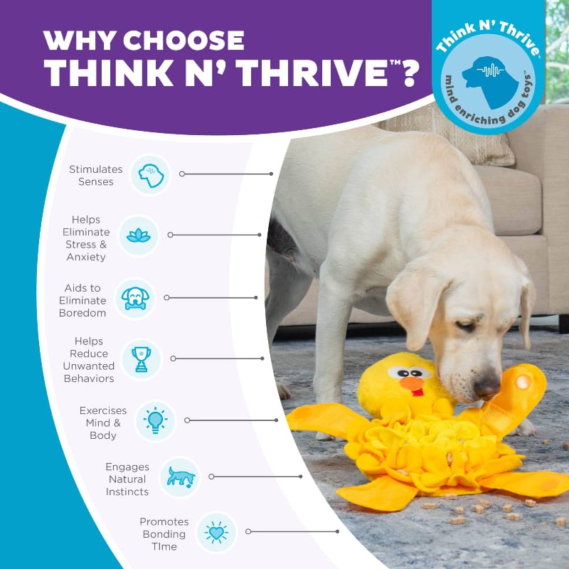 Outward Hound dog toys Snuffle Palz Chicken Interactive Puzzle Plush Dog Toy