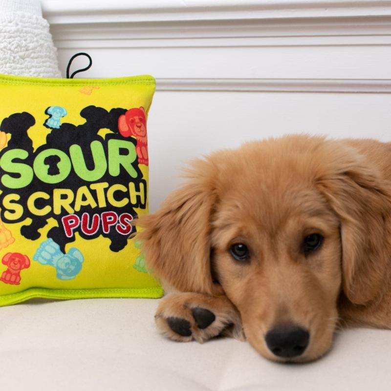 Huxley & Kent dog toys Sour Scratch Pups Plush Dog Toy - 2 Sizes