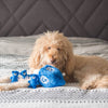 Zippypaws dog toys Hanukkah Burrow Dreidel Dog Toy