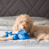 Zippypaws dog toys Hanukkah Burrow Dreidel Dog Toy