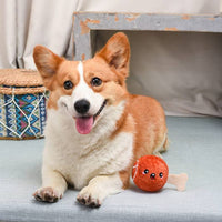 Hugsmart Products Inc dog toys Food Party Ham Ball Dog Toy