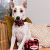 Huxley & Kent Bow Tie Red Buffalo & Snow Pinwheel Holiday Pet Collar Attachment - 2 Sizes