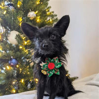 Huxley & Kent Bow Tie Naughty & Nice Pinwheel Holiday Pet Collar Attachment - 2 Sizes