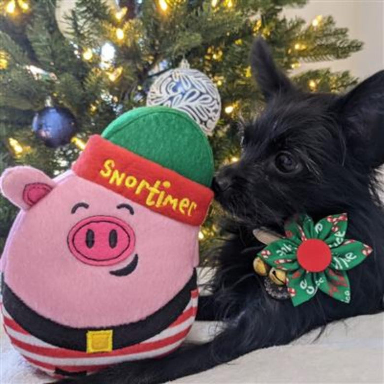 Huxley & Kent Bow Tie Naughty & Nice Pinwheel Holiday Pet Collar Attachment - 2 Sizes