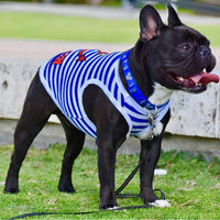 Parisian Pet Tee's S Captain Dog Tee