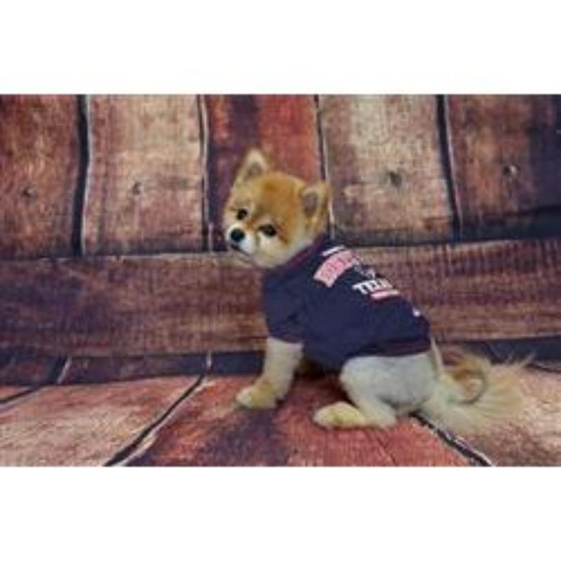 Pets First Tee's Houston Texans Dog Tee