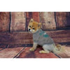 Pets First Tee's Philadelphia Eagles Dog Tee
