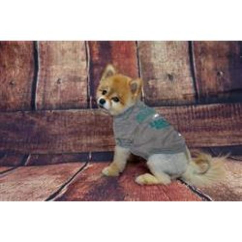 Pets First Tee's Philadelphia Eagles Dog Tee