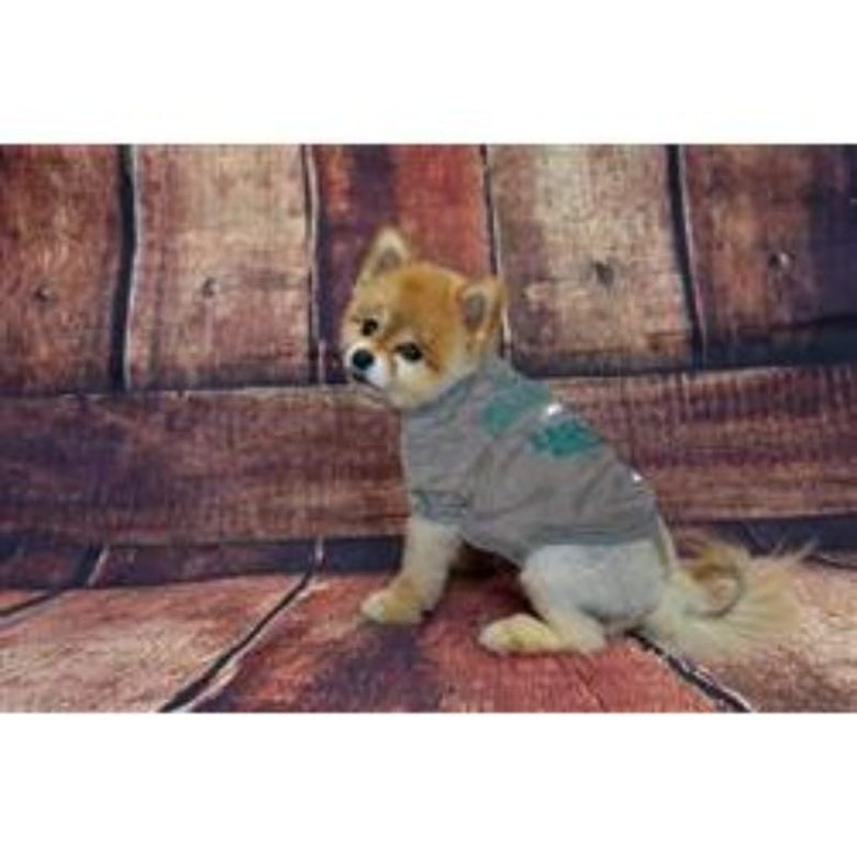 Pets First Tee's Philadelphia Eagles Dog Tee