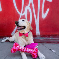 Huxley & Kent Bow Ties My Puppy Love Red Hearts Pink Bow Tie Pet Collar Attachment - 3 Sizes
