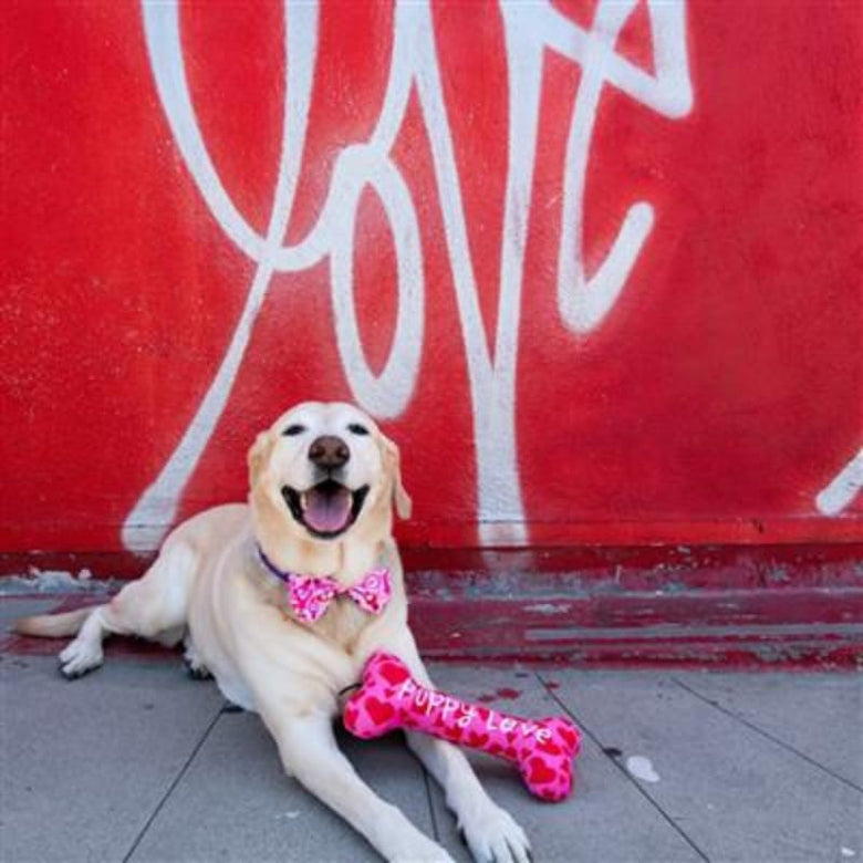 Huxley & Kent dog toys My Puppy Love Bone Plush Squeak Dog Toy - 2 Sizes