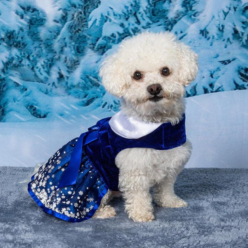 Doggie Design, Inc. Dresses Holiday Snowflakes Blue Dog Harness Dress with Matching Leash