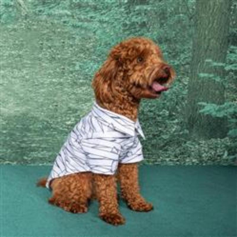 Doggie Design, Inc dog apparel Halloween Mummy Camp Dog Shirt