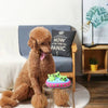 Hugsmart Products Inc dog toys Space Paws Aliens Interactive Plush Dog Toy Set - 4 Pc