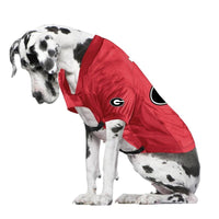 Little Earth Productions Dog Apparel GA Bulldogs Big Dog Stretch Dog Jersey
