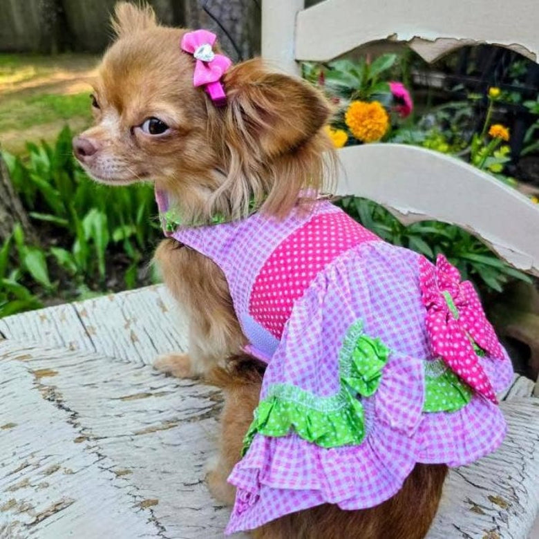 Doggie Design Dog Apparel Pink Watermelon Dog Harness Dress w/ Matching Leash