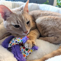 Huxley & Kent Cat Toys Party Hats Plush Cat Toy