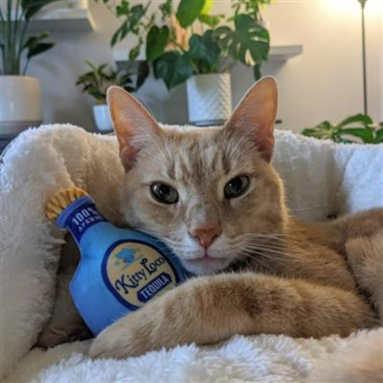 Huxley & Kent Cat Toys Kitty Loco Plush Cat Toy
