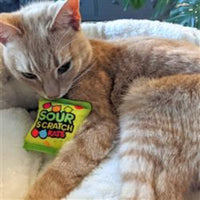 Huxley & Kent Cat Toys Sour Scratch Kats Plush Cat Toy