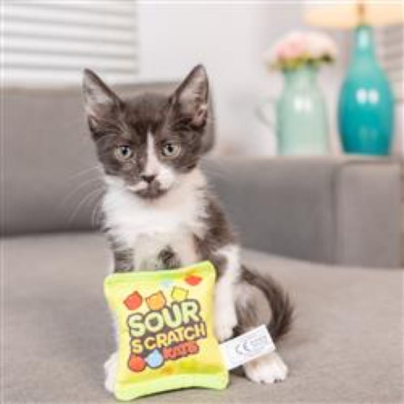 Huxley & Kent Cat Toys Sour Scratch Kats Plush Cat Toy