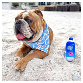 PAWTY Dog Toys dog toys Furji Water Plush Squeak Dog Toy