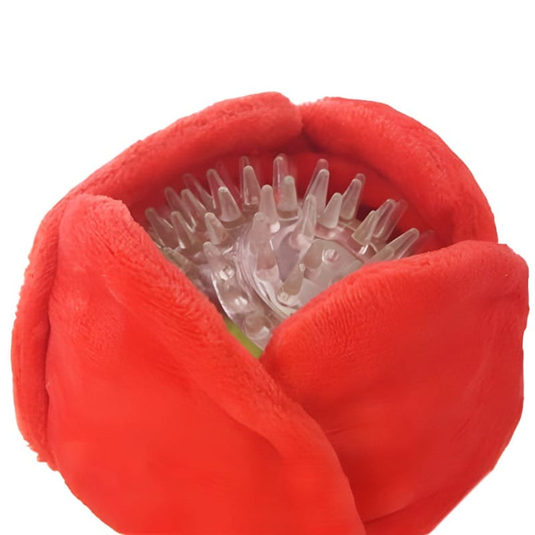 HugSmart Pet dog toys Woof Love Red Rose Flower Plush Squeak Ball Dog Toy