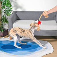 Hugsmart Products Inc dog toys Camping Pups S'mores Tug Rope Plush Dog Toy