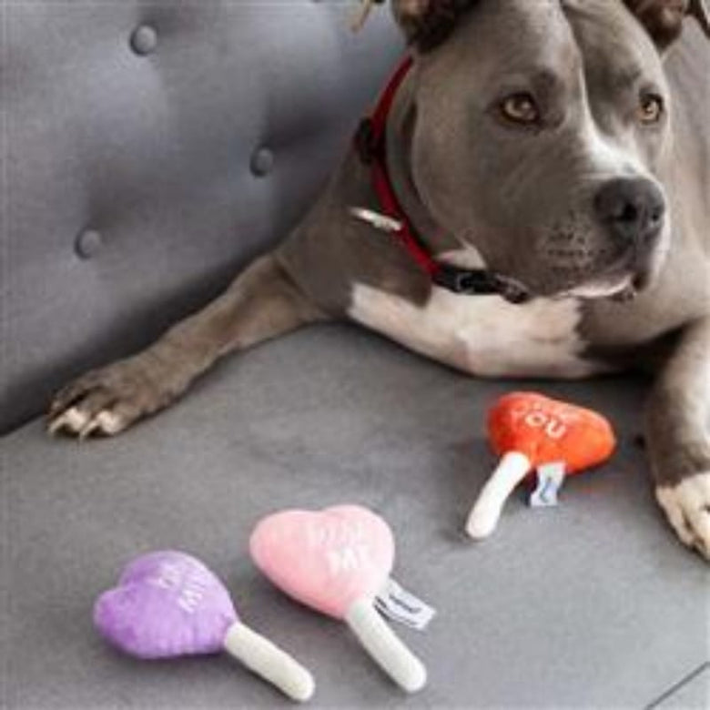 Pearhead, Inc. dog toys Valentine's Conversation Hearts Plush Squeaky Dog Toy Set - 3Pk