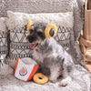 Hugsmart Products Inc dog toys Party Onion King Interactive Plush Pet Toy Set - 4 Pc