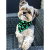 Hunter K9 Bandanas St Patrick's Green Black Shamrock Dog Bandana