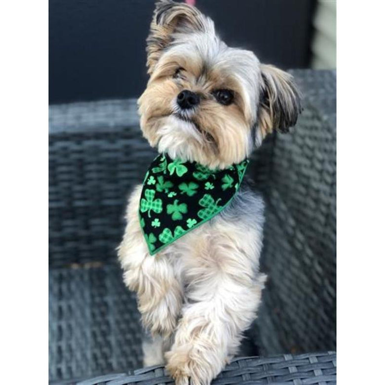 Hunter K9 Bandanas St Patrick's Green Black Shamrock Dog Bandana