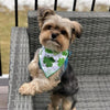 Hunter K9 Bandanas St. Patricks Shamrock Dog Bandana