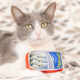 Huxley & Kent Cat Toys Sardines Tin Cat Toy