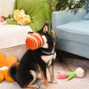 HugSmart Pet Toys Puppy Garden Tulip Dog Toy