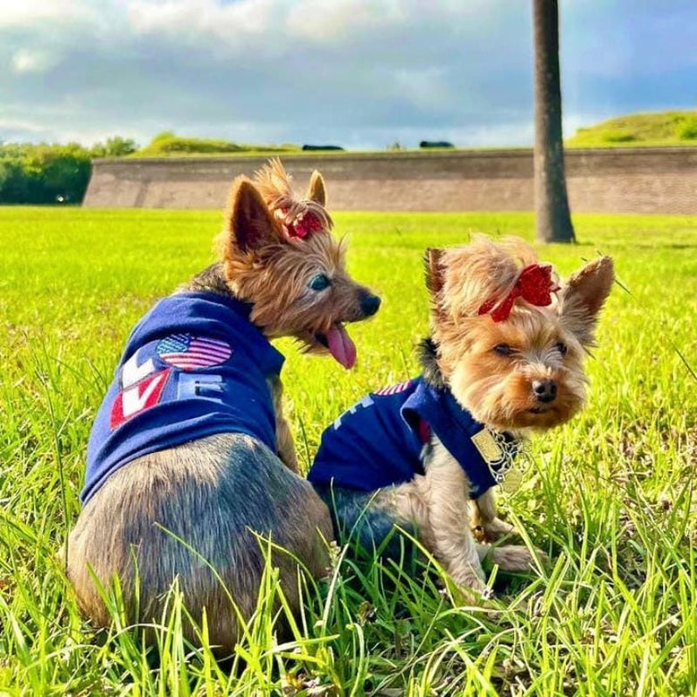 Parisian Pet Tee's LOVE USA Pet Tee