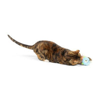 Monster Furr Ball Halloween One-Eyed Blue Plush Cat Toy