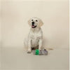 Pet Shop by Fringe Studio dog toys Shake Your Palm Palms Plush Dog Toy