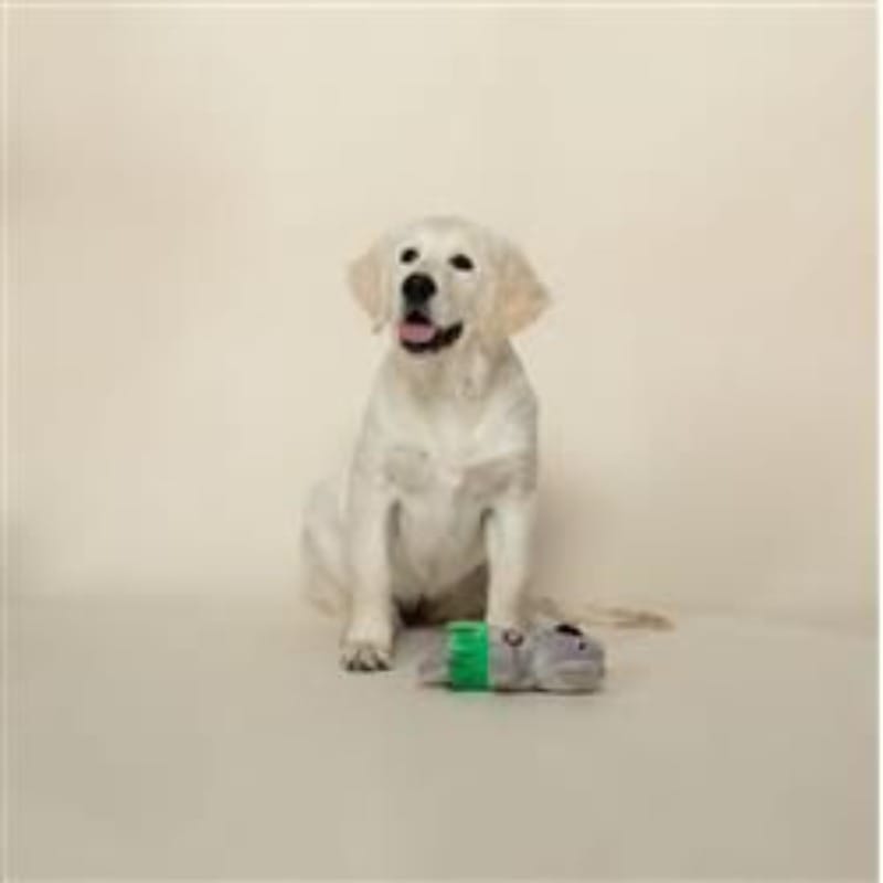 Pet Shop by Fringe Studio dog toys Shake Your Palm Palms Plush Dog Toy